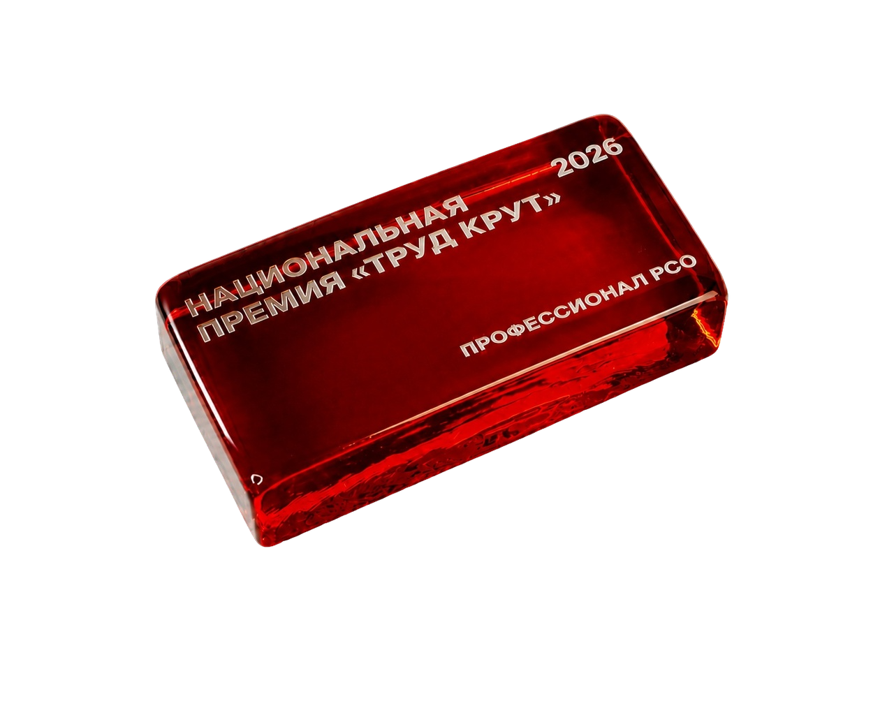 Приз премии Труд Крут